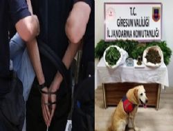 UYUŞTURUCU TACİRİ 2 KARDEŞ TUTUKLANDI