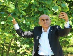 TAHMİNİ FINDIK REKOLTESİNİ AÇIKLADI